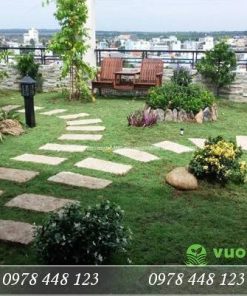 Tiểu cảnh sân thượng - Mẫu 38