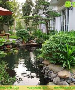Mẫu Hồ cá koi sân vườn biệt thự