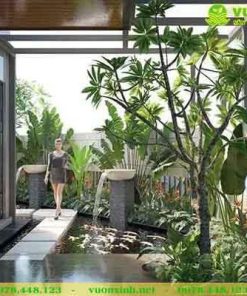 Mẫu hồ cá Koi mini sân vườn