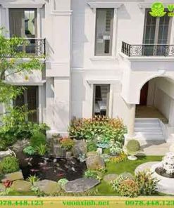 Hồ ca koi mini sân vườn biệt thự