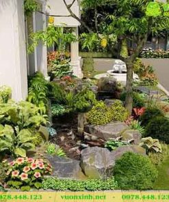 Hồ ca koi mini sân vườn biệt thự