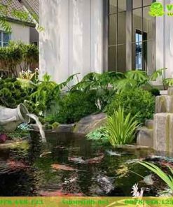 Hồ ca koi mini sân vườn biệt thự