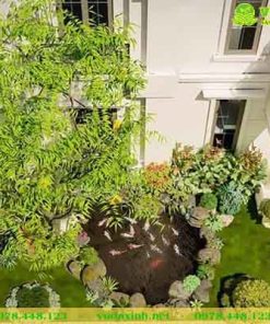 Hồ ca koi mini sân vườn biệt thự
