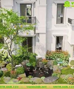 Hồ ca koi mini sân vườn biệt thự