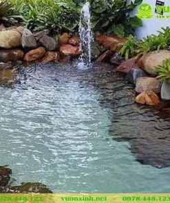 Mẫu hồ cá Koi sân vườn đá cuội