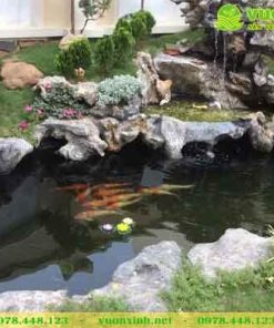 Mẫu hò cá Koi sân vườn đá lũa