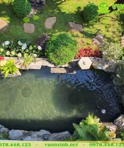 Mẫu hồ cá Koi sân vườn đá lũa