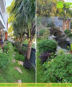 Mẫu hồ cá Koi sân vườn đá lũa