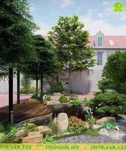 Mẫu hồ cá koi mini sân vườn