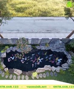 Mẫu hồ cá koi mini sân vườn