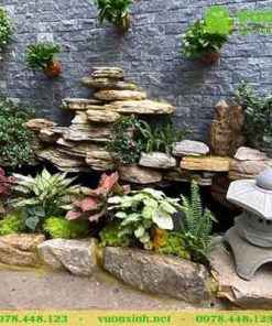 Mẫu hồ cá koi sân vườn nhà phố