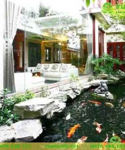 Mẫu hồ cá koi sân vườn phong thủy