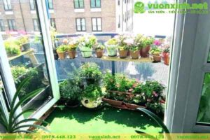 Thiết kế thi công tiểu cảnh ban công