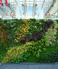 Vườn tường - Mẫu 02