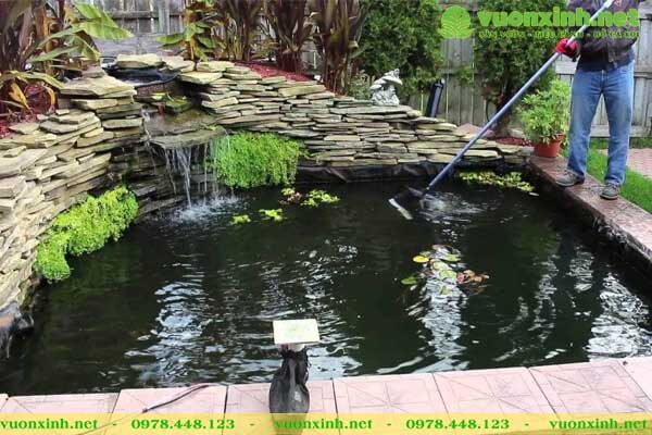 Dịch vụ bảo trì bảo dưỡng hồ cá koi