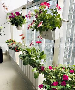 50+ Mẫu ban công chung cư hiện đại 1