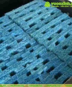 Bùi Nhùi AC Filter Mat