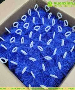 Chổi lọc hồ cá koi là một phần rất quan trọng trong hệ thống lọc chuyên nghiệp cho các hồ cá. Khi sử dụng cho ngăn lắng hồ cá thì đây là vật liệu hiệu quả nhất, Chổi lọc giúp giữ lại các cặn rác, không lắng được xuống dưới, ngăn rác qua các ngăn lọc tiếp theo. Vuonxinh.net là đơn vị phân phối chổi lọc hồ koi Pure Blue chính hãng tại Việt Nam.