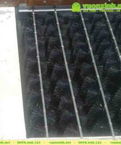 Chổi lọc nước hồ Koi