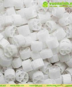 Hạt lọc Kaldenss