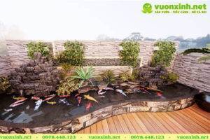 Địa chỉ thi công hồ cá koi Hà Nội uy tín