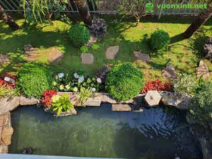 Hồ cá koi phong thủy