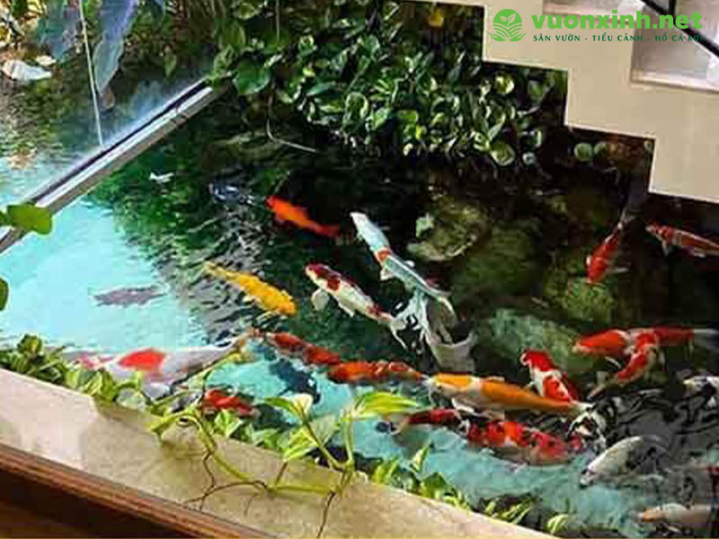 Vị trí đặt hồ cá koi hợp phong thủy